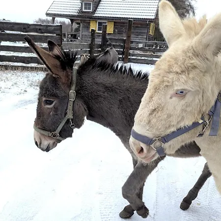 Ranczo Annabella Farmház