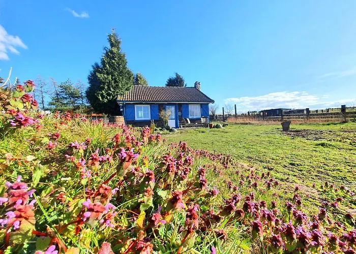 Ranczo Annabella * Przybiernów