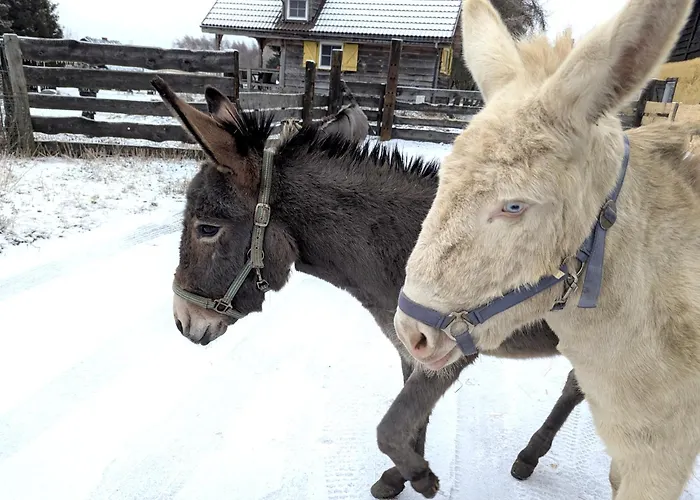 Ranczo Annabella Alojamento de Turismo Rural